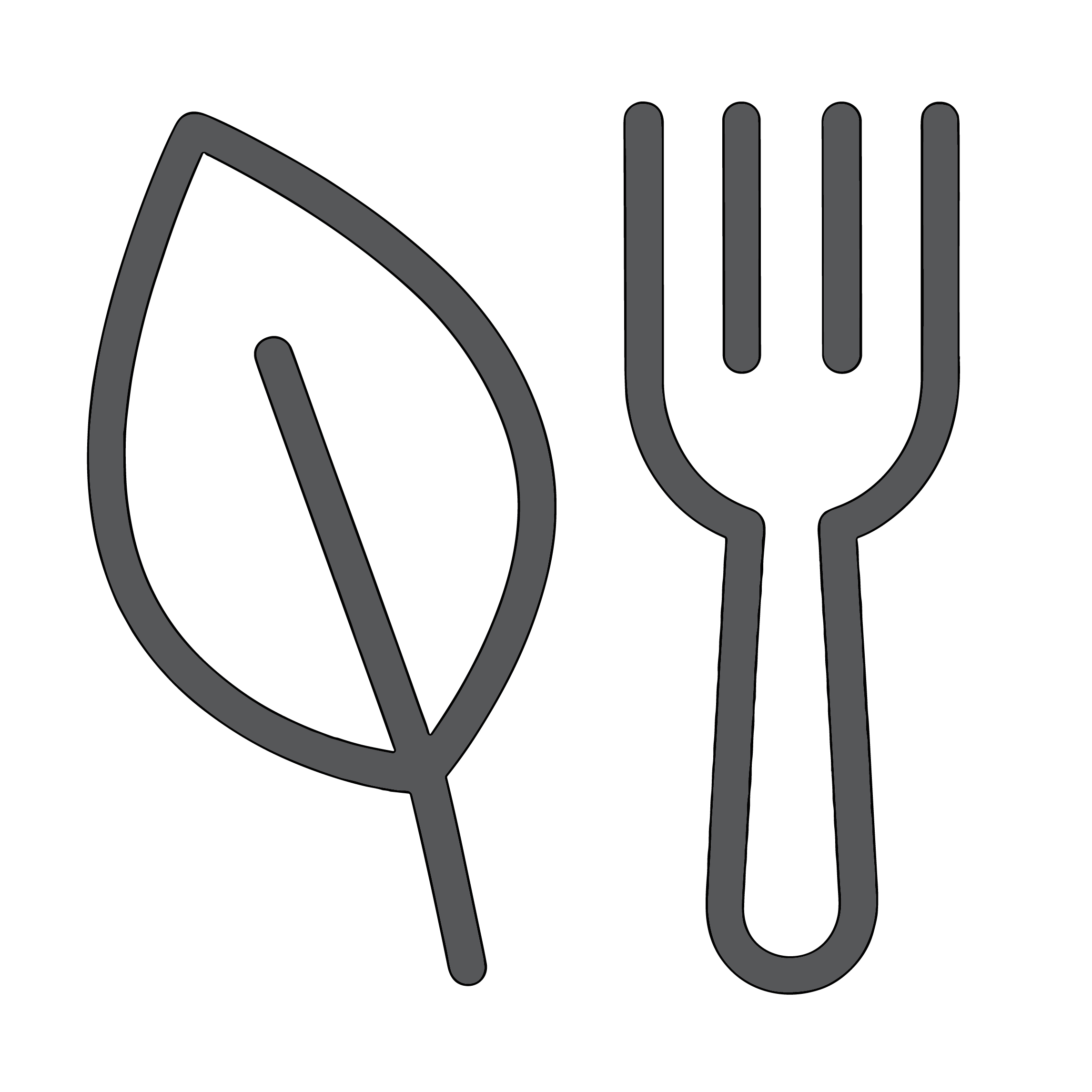 Check Icon