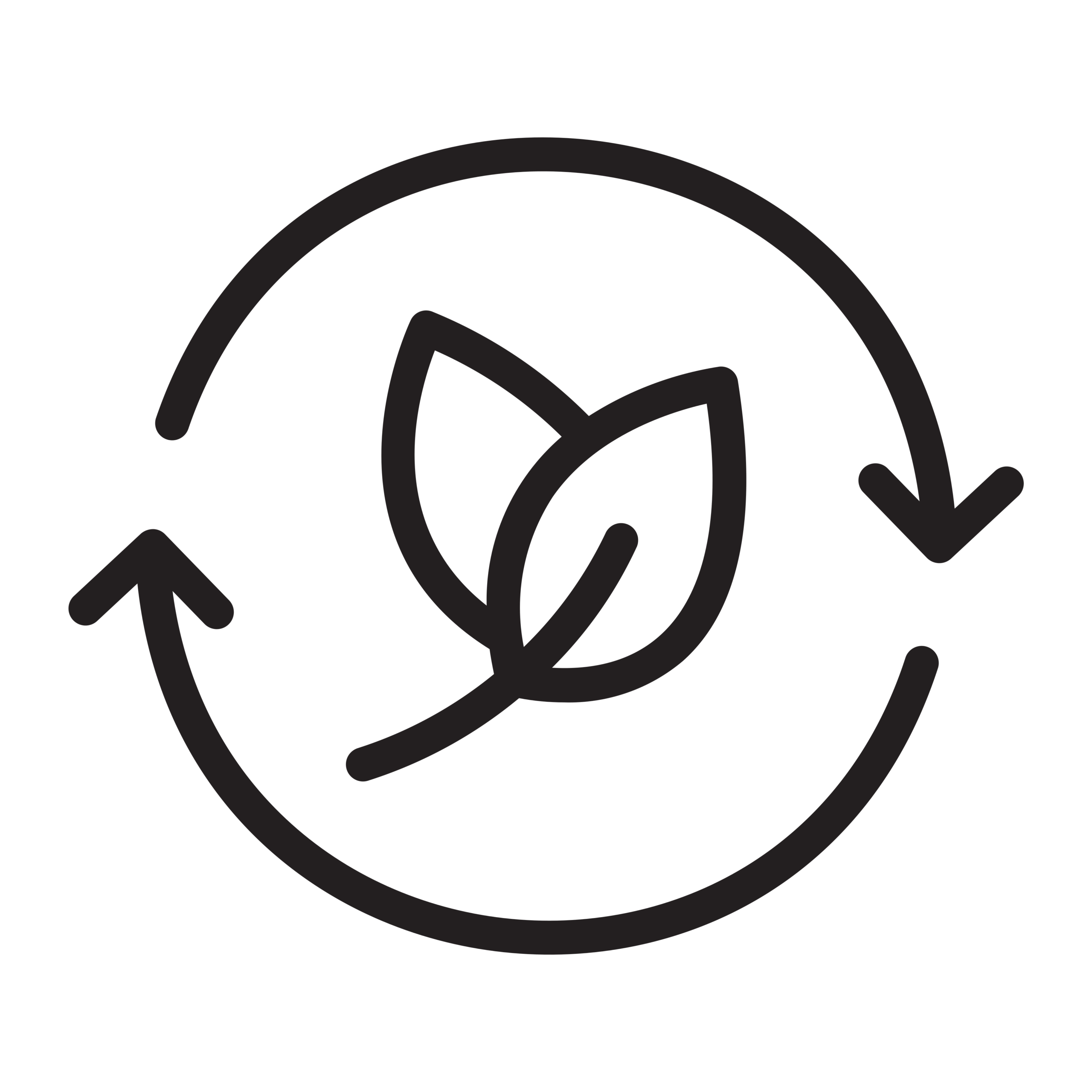 Email Icon
